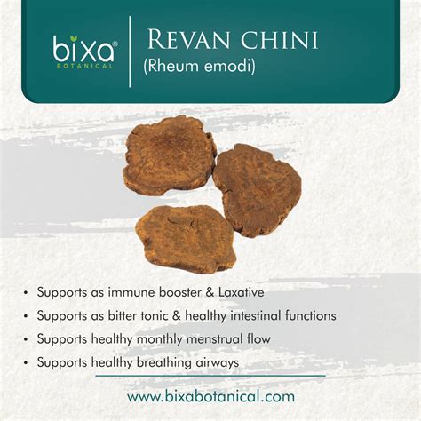 Revan Chini Powder Rheum Emodi – Bixa Botanical India