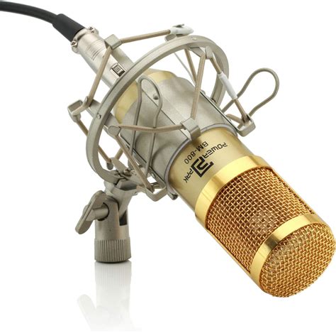 Powerpak Bm-800 Gold Professional Condenser Microphone with Metal Shock ...
