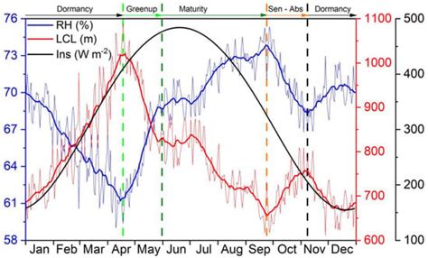 Seasonal Lifting Condensation Level Trends: Implications of Warming and ...