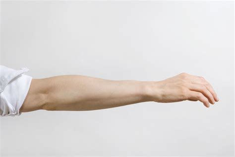 Image result for Extension Muscle Movement