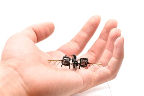 Robot Insect 的图像结果