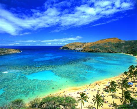Exotic Places: Hawaii Beach