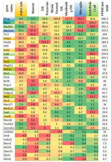 LPS Administration Impacts Glial Immune Programs by Alternative Splicing