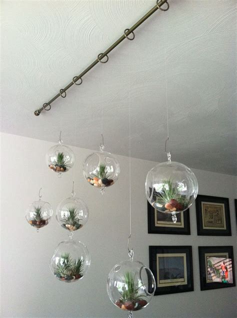 How To Hang Plants From The Ceiling – HOMYSTYLE
