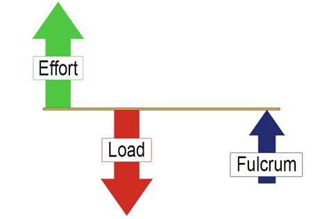 Three Types of Lever Systems: Second Class Lever