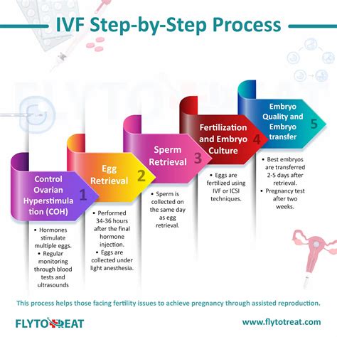 IVF Process Step by Step 的图像结果