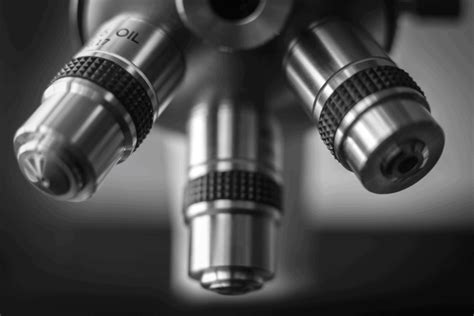 What Is Magnification 的图像结果