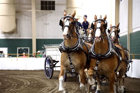 Kearney Buffalo County Fairgrounds