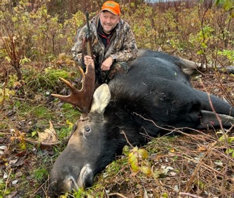 Lucky Day for 2025 NH Moose Hunt Permit Winners - NH Fish and Game ...