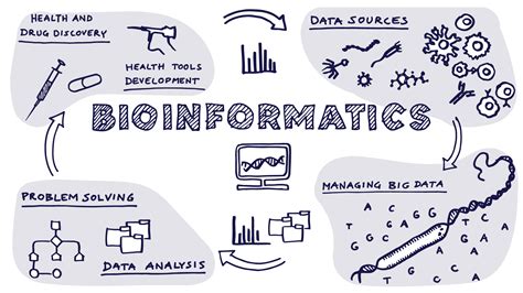 AN EMPIRICAL SCIENCE RESEARCH ON BIOINFORMATICS IN MACHINE LEARNING – JOURNAL OF MECHANICS OF CONTINUA AND MATHEMATICAL SCIENCES
