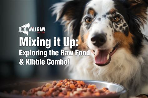Mixing it Up: Exploring the Raw Food & Kibble Combo - Iron Will Raw Inc.