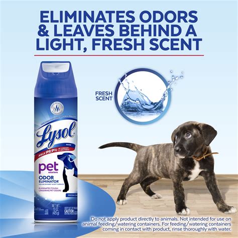 Can Lysol Kill A Dog
