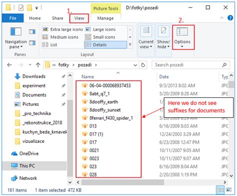 Image result for How to View File Extensions Windows 1.0