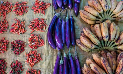 Image result for Local Food Production