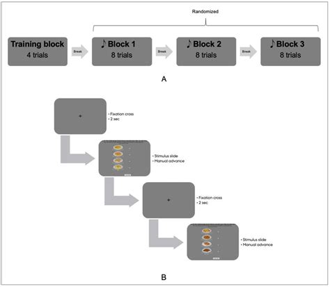 Block Design Experiment 的图像结果