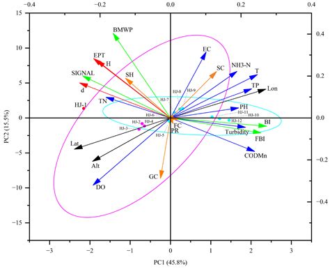 Community Structural and Functional Features of Benthic ...