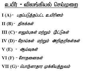 11th std Bio-Zoology practical guide study material By: Mr P.Senguttuvan