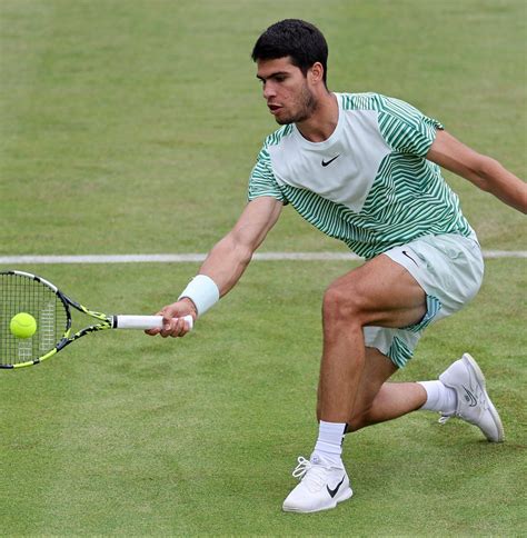 Alcaraz 的图像结果