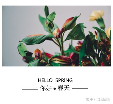 春暖花开，万物复苏，又到了一年中最美好的季节……__财经头条