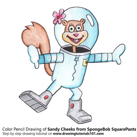 Image result for Sandy Cheeks Outline