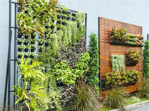 DIY Outdoor Living Plant Wall Ideas