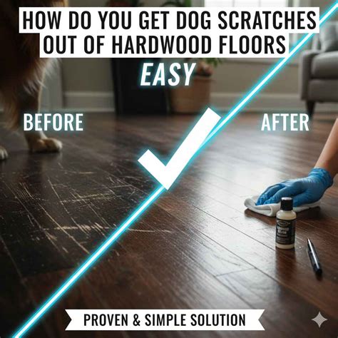 How Do You Get Dog Scratches Out Of Hardwood Floors: Easy
