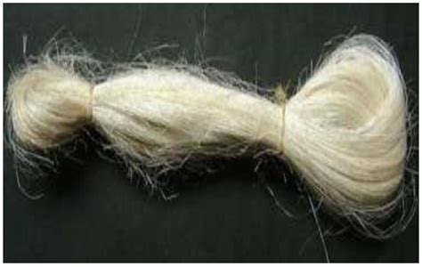 Concrete Reinforced with Sisal Fibers (SSF): Overview of Mechanical and ...