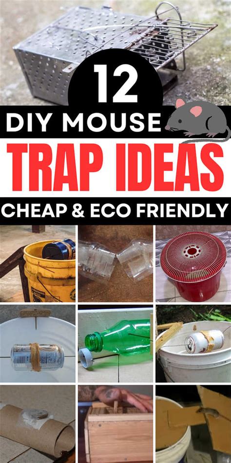 Image result for Best Mouse Trap Designs