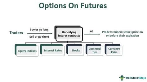 Image result for Futures Option