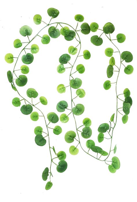 KAYKON Artificial Green Hanging Garland Creeper Plant for Indoor ...