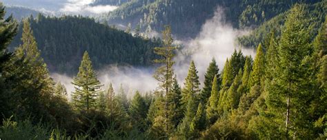 Strategy & Performance Highlights FY 2022 - 23 | Hindustan Unilever ...