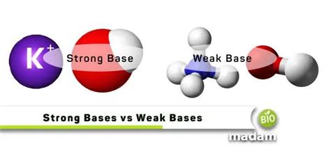 Weak Base 的图像结果
