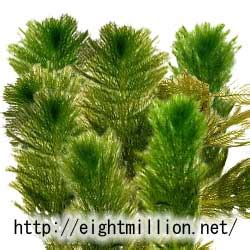 Image result for Computational Problems Examples