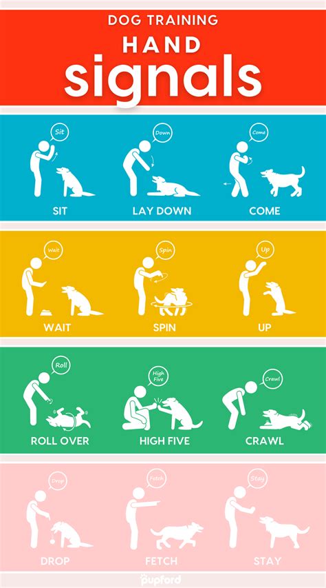 Image result for Hand Signs for Dogs