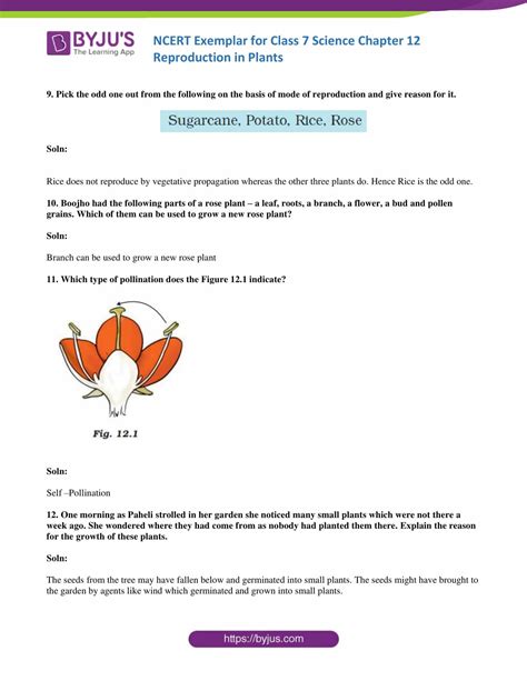 Image result for Class 7 Science Chapter 12 Exercise