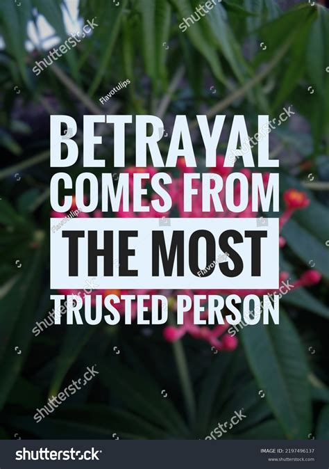 2+ Hundred Betrayal Quotes Royalty-Free Images, Stock Photos & Pictures ...