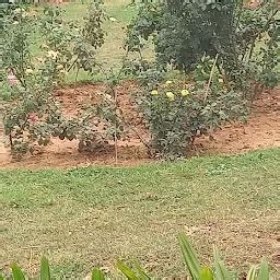 Shri Hanuman Mandir - Hindu temple - Ranchi - Jharkhand | Yappe.in