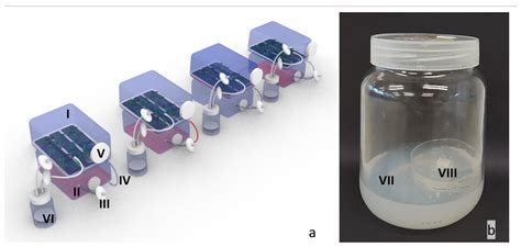 Constant and Intermittent Contact with the Volatile Organic Compounds ...