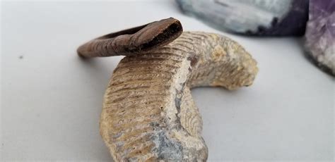 Buy Artifact: Bone Knife Handle From St. Lawrence Island Alaska Online ...