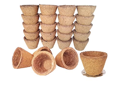 Satguru Cow Panchgavya Dhuni Cups (Empty), Sambrani Dhoop Cups (100 ...