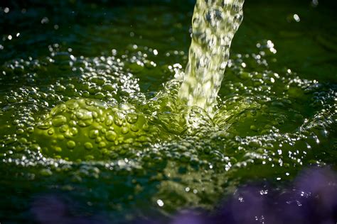 Image result for Splosh Splash Splish Reversed