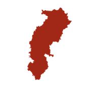 Rice Farming in India: Everything You Need to Know