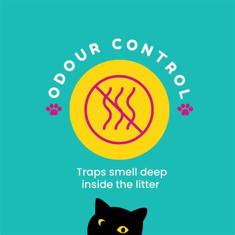 Petcrux Eco Clump Bentonite Unscented Cat Litter | Supertails