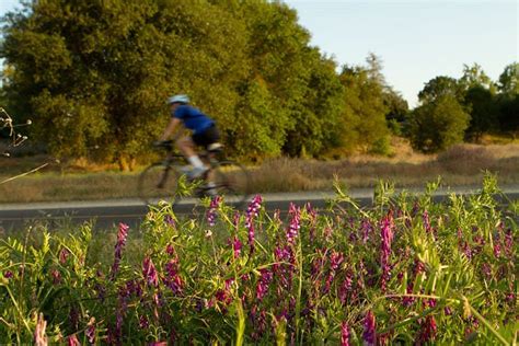 THE 5 BEST Hotels with Military Discounts in Rancho Cordova 2026 (with ...