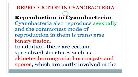 Cynobacteria Structure and Reproduction | PPTX