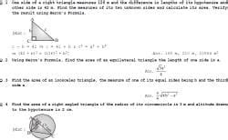 NCERT Exercises - Heron's Formula, Class 9, Mathematics PDF Download