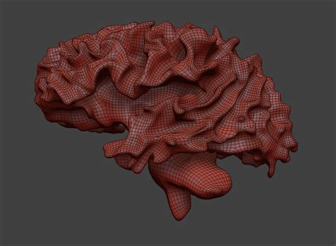 Image result for Brain Machine Learning Vector