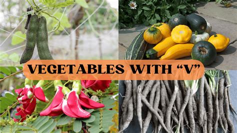 30 Vegetables Starting with the Letter "V" - Mothers Always Right