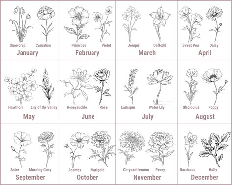 Birth Month Flowers 24 PNG Images, 300 DPI, Transparent Background ...
