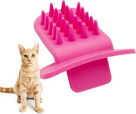 Are Cats Tongues Clean Like Dogs